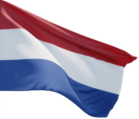 3d-nl